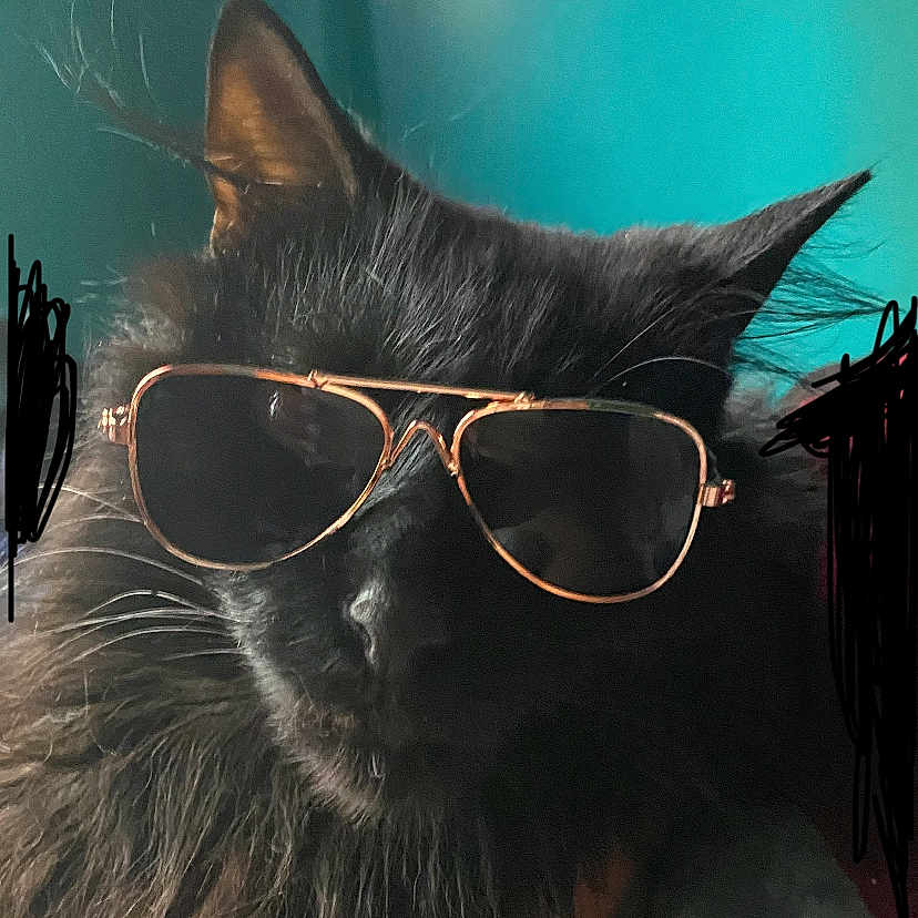 Salem