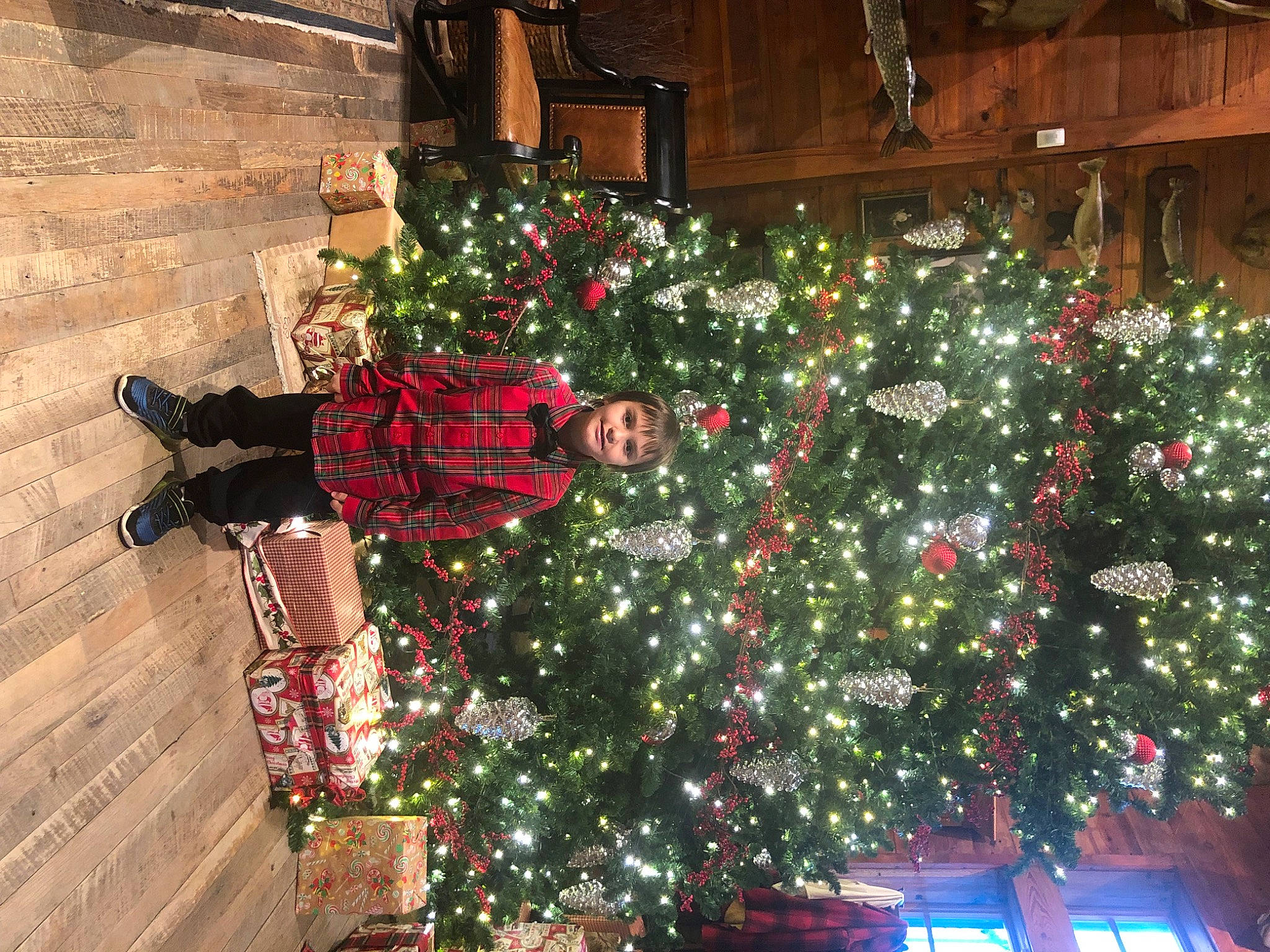 Christopher is registered to the contest to win money with this photo: christmas, christmas_decoration, christmas_eve, christmas_lights, christmas_ornament, christmas_tree, conifer, decoration, event, evergreen, holiday, holiday_ornament, houseplant, joy, ornament, person, plant, room, tints_and_shades, tradition