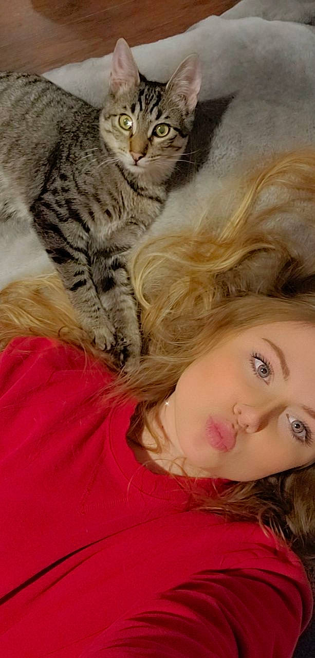 Atlas joined the competition — help win amazing prizes! carnivore, cat, cheek, claw, comfort, domestic_short_haired_cat, eye, eyelash, felidae, fur, happy, mammal, nose, paw, portrait_photography, sitting, small_to_medium_sized_cats, smile, vertebrate, whiskers