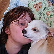 Sir Charles Earp is registered to the contest to win money with this photo: bed, blanket, brown_hair, casual, closeup, cozy, dog, eyewear, face, glasses, hair, indoor, light_skin, person, pillow, relaxed, smile, snuggling, tan_dog, white_dog