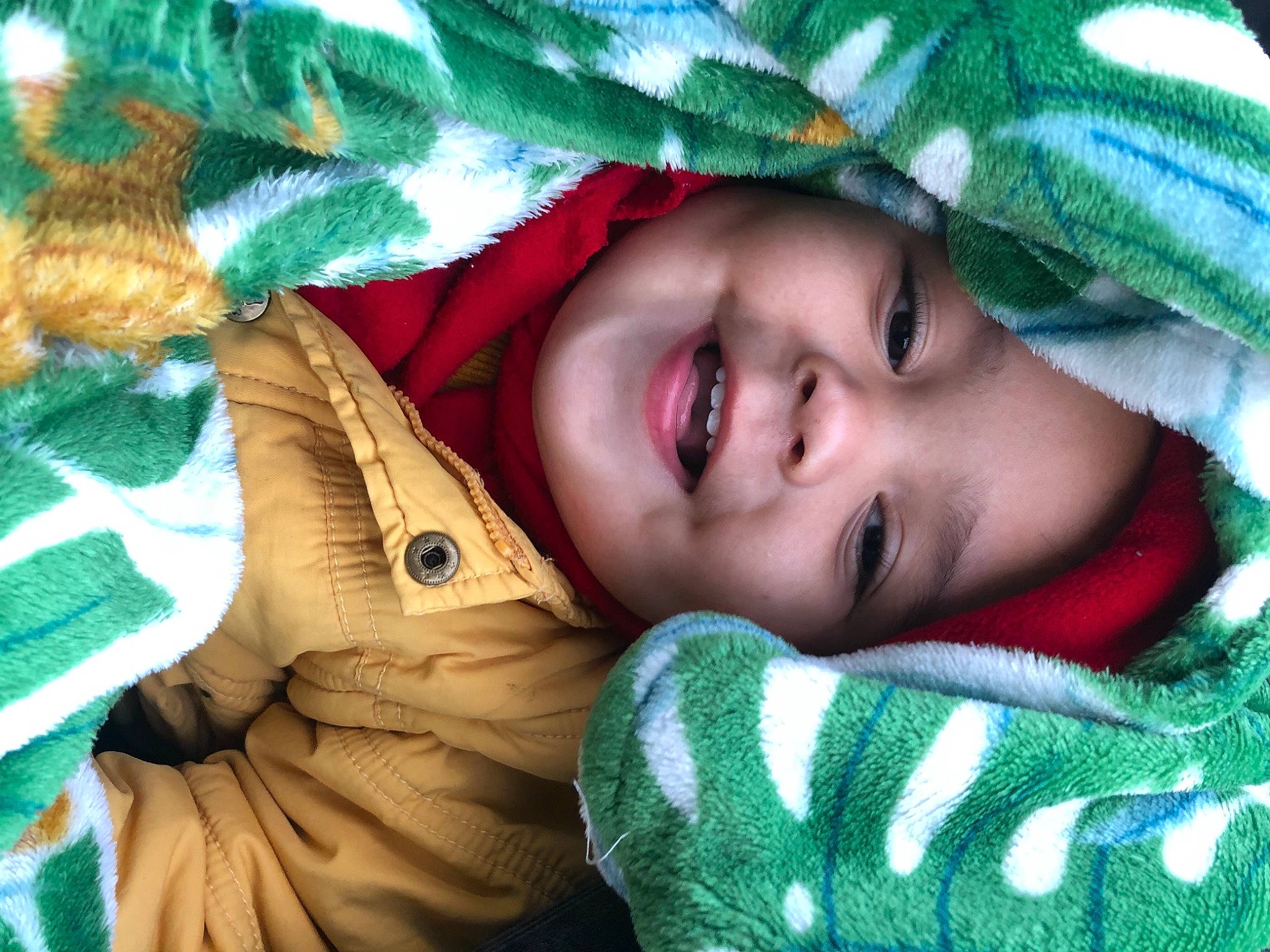 Cody participe au concours pour gagner de l'argent avec cette photo : cheek, comfort, eye, eyebrow, face, facial_expression, green, head, headwear, iris, joy, leaf, lip, mammal, nose, outerwear, person, plant, skin, smile