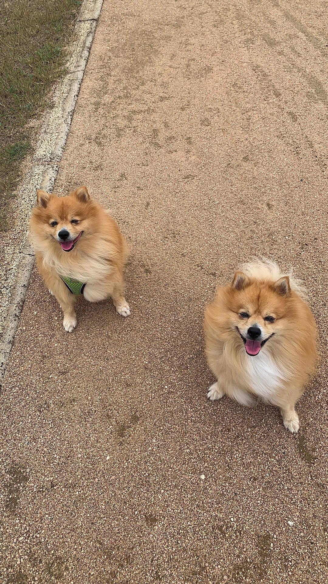 Lex And Fen