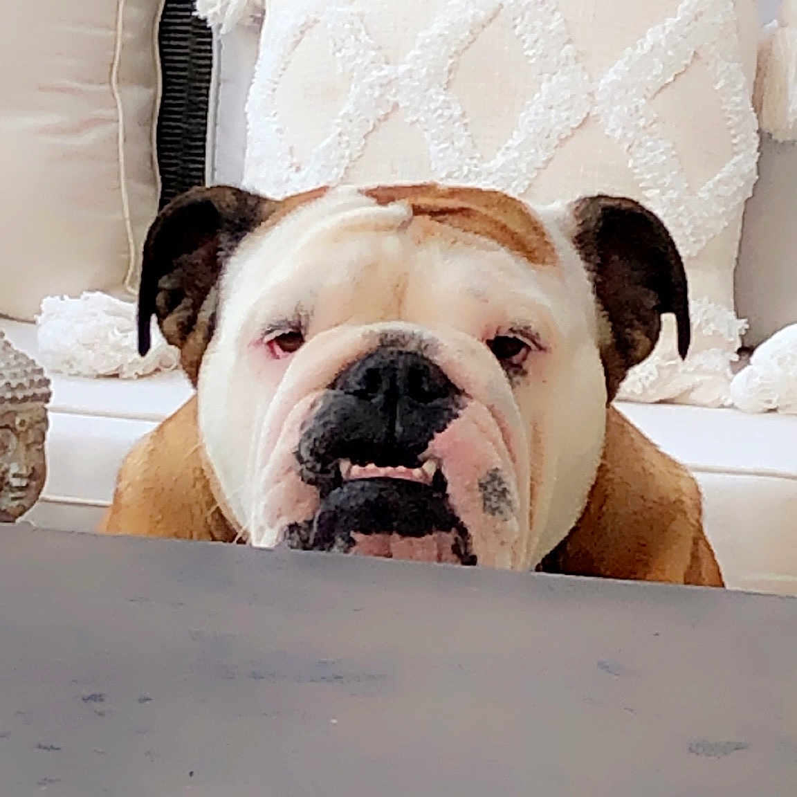 Rudy