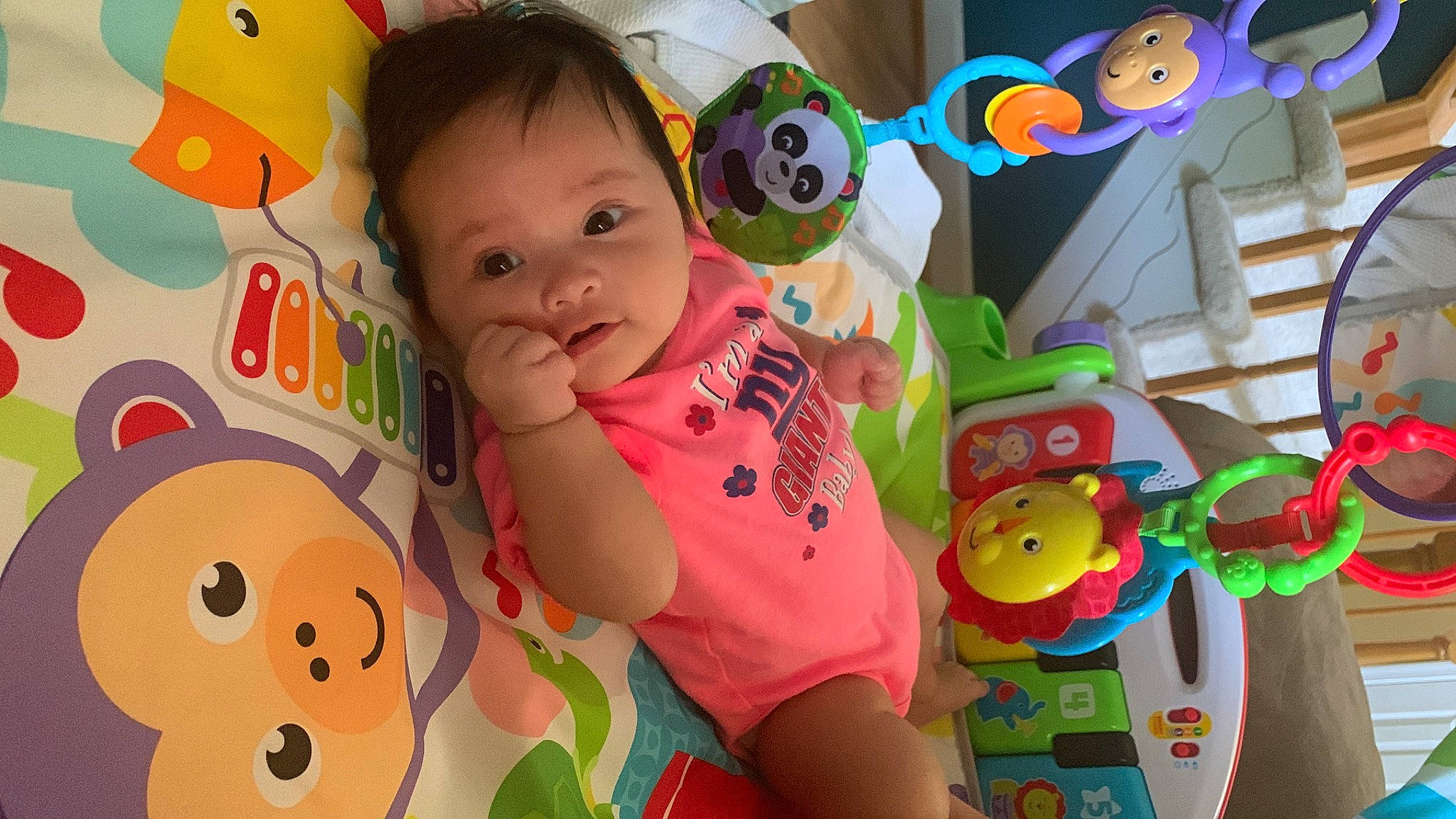 Leia is registered to the contest to win money with this photo: baby, baby_playing_with_toys, baby_products, baby_toddler_clothing, baby_toys, cheek, child, facial_expression, fun, happy, leisure, person, play, product, smile, snapshot, stuffed_toy, textile, toddler, toy