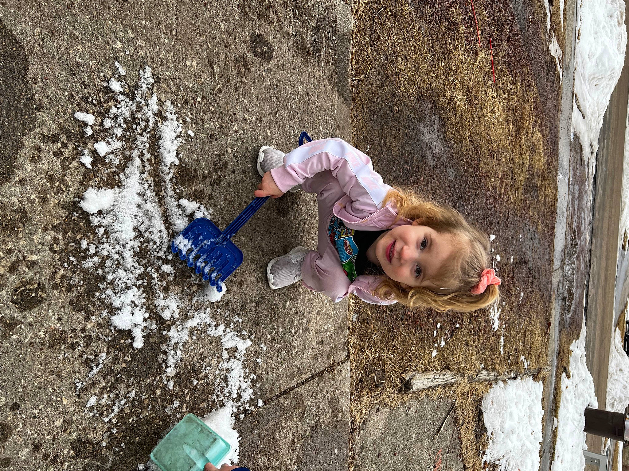 Delilah joined the competition — help win amazing prizes! adaptation, adventure, asphalt, child, concrete, fun, grass, joy, leaf, leisure, people_in_nature, person, play, pollution, recreation, road_surface, sand, shadow, soil, toddler