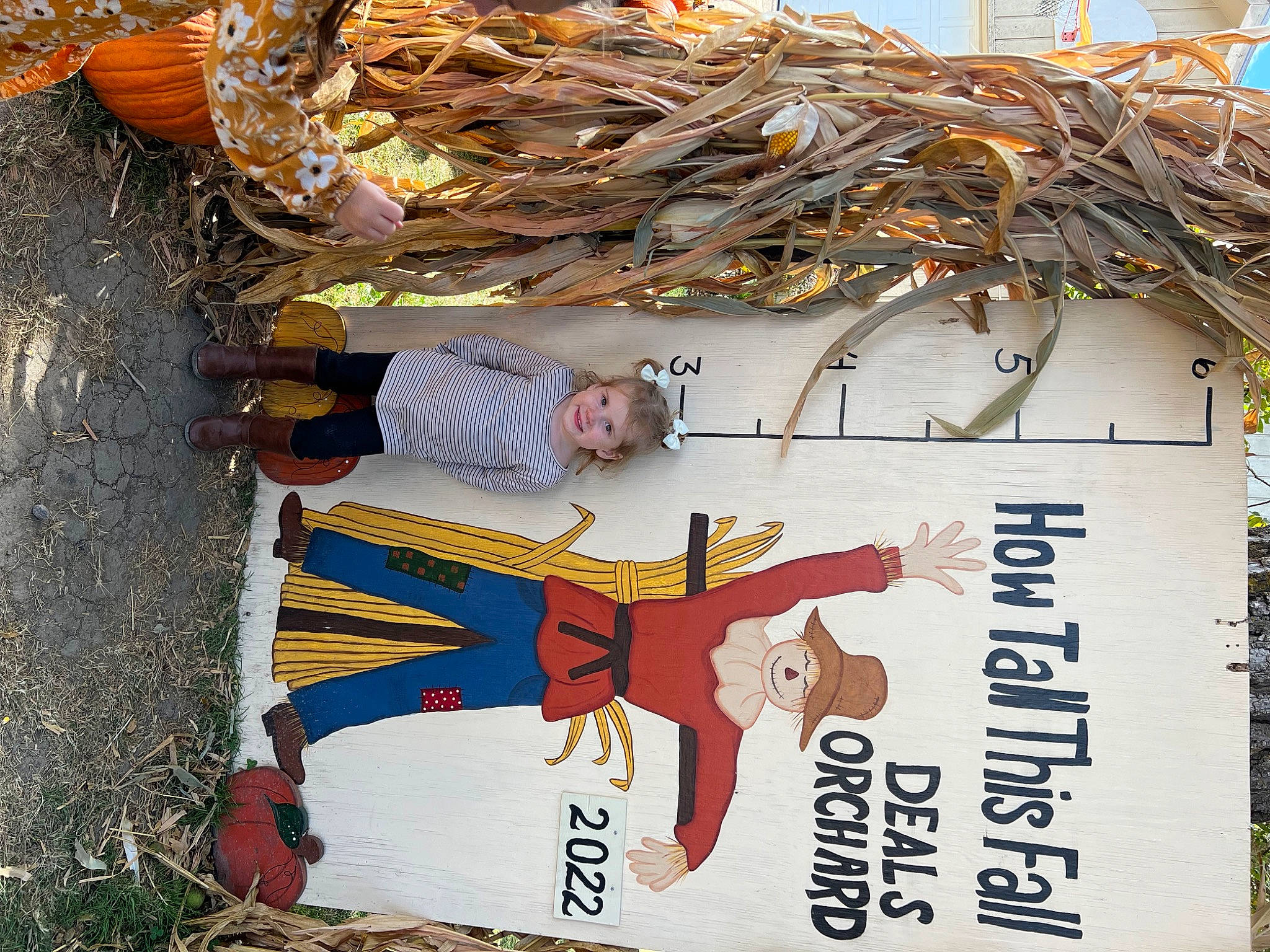 Delilah is registered to the contest to win money with this photo: adaptation, advertising, art, font, joy, landscape, metal, person, plant, sign, signage, tree, trunk, twig, visual_arts, wood