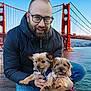 Lola participe au concours pour gagner de l'argent avec cette photo : man, glasses, beard, jacket, jeans, dog, small_dog, puppy, water, bridge, golden_gate_bridge, outdoor, daytime, smile, pet, holding, blue_sky, urban, casual, happy