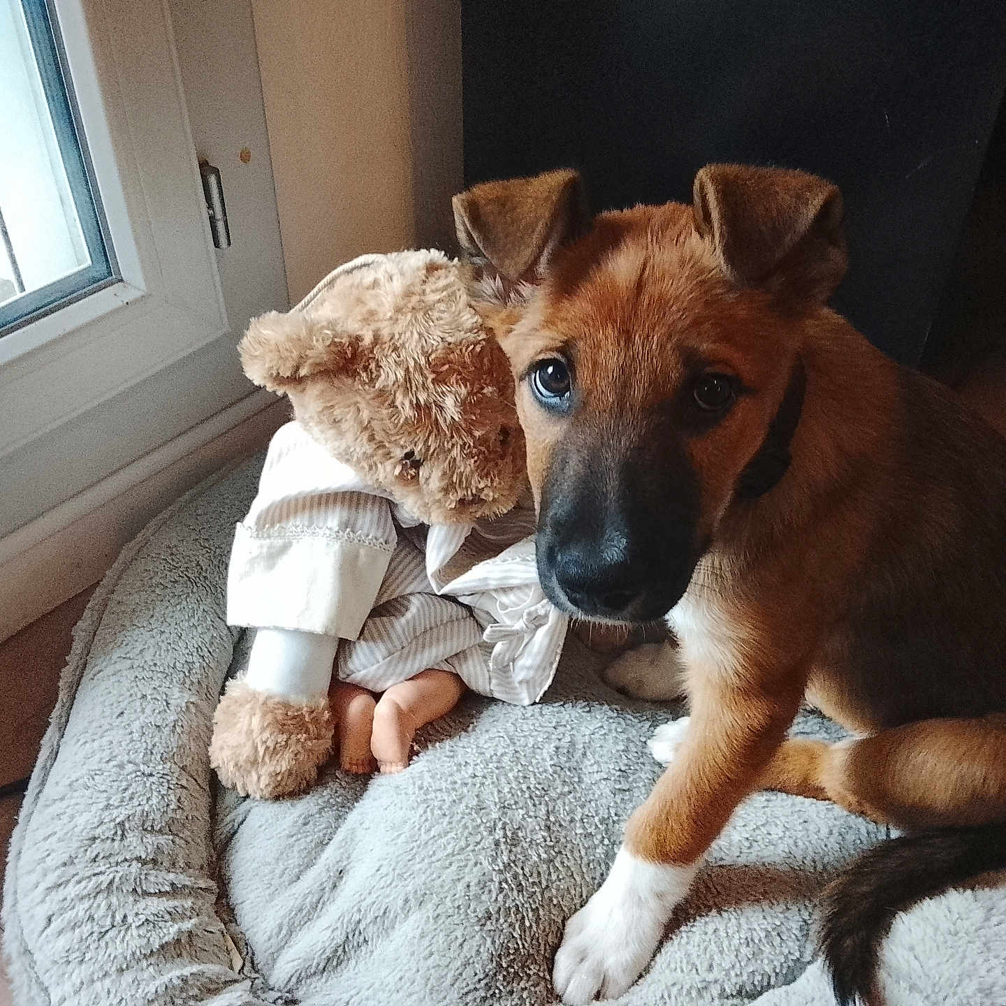 Benji
