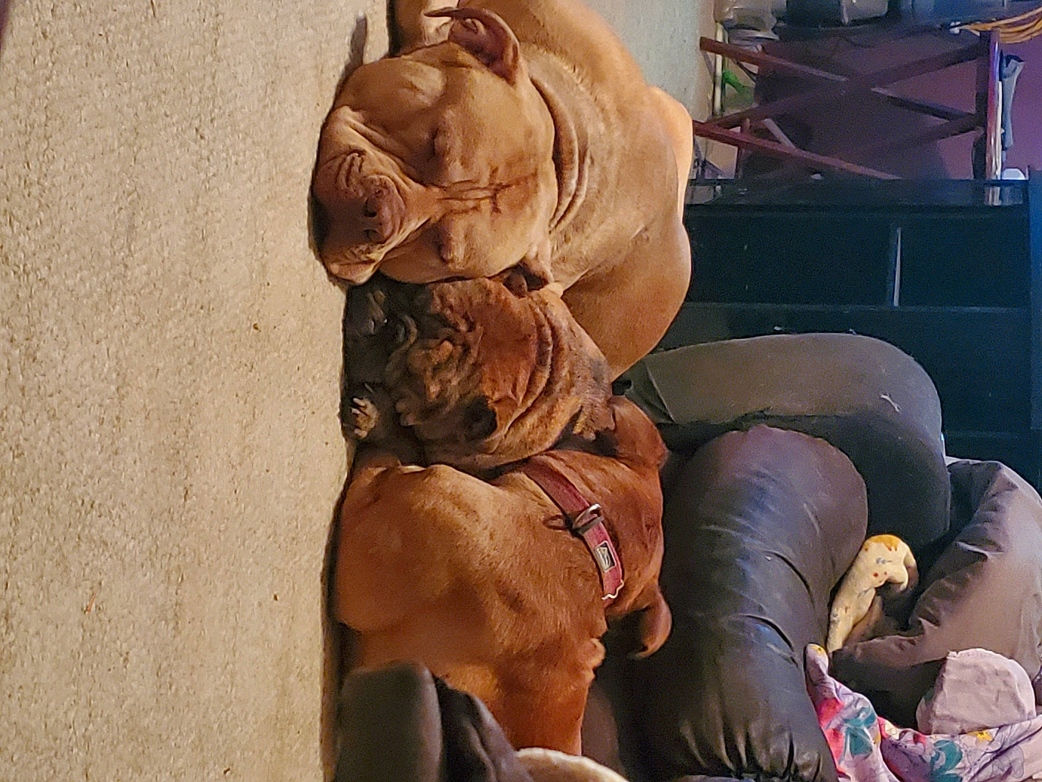 Rusty joined the competition — help win amazing prizes! art, artifact, barechested, big_cats, carving, cg_artwork, chest, classical_sculpture, flesh, headgear, human_leg, mythology, rock, sculpture, sitting, thigh, trunk, visual_arts, wood, wrinkle