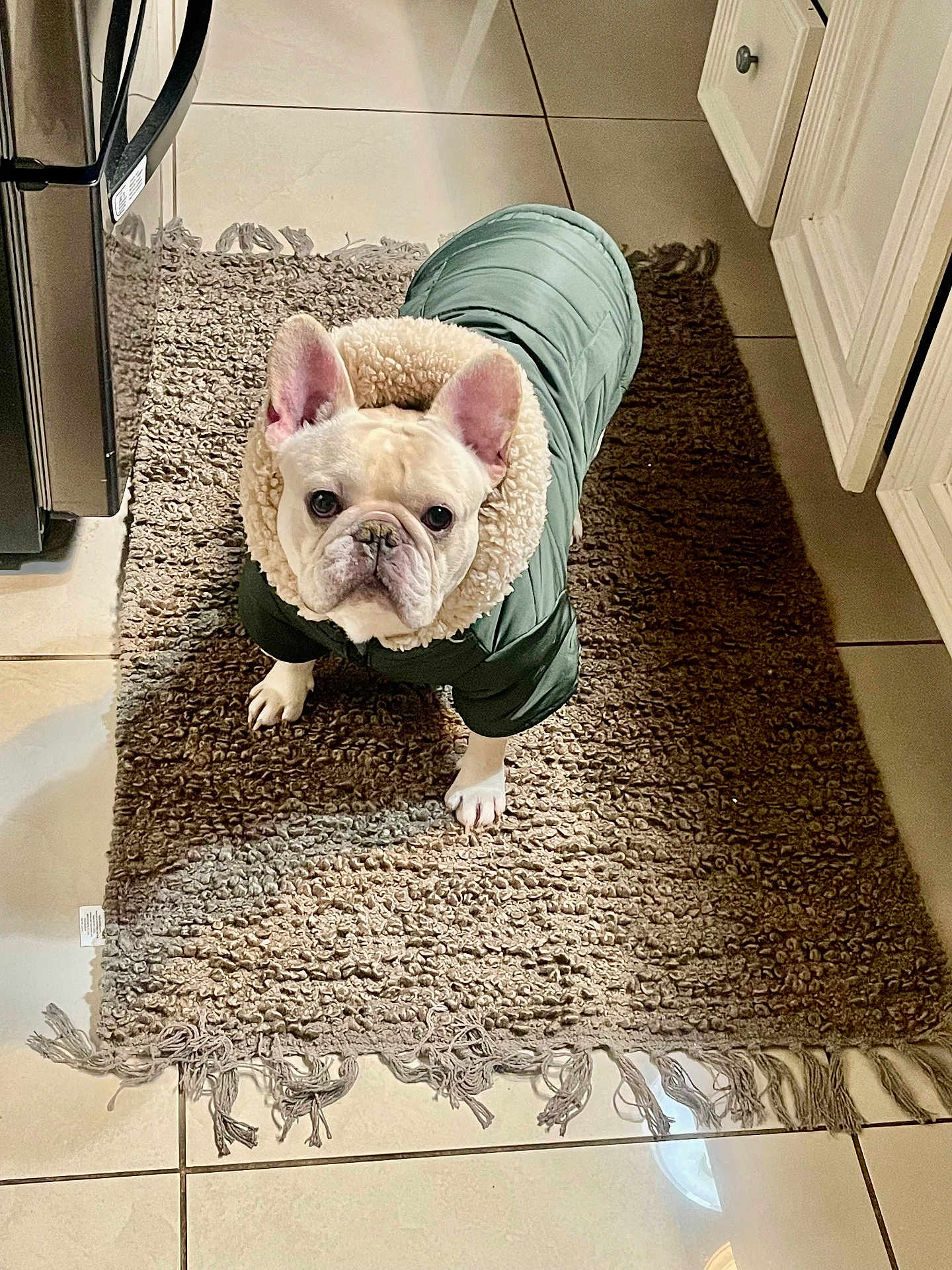 Milo
