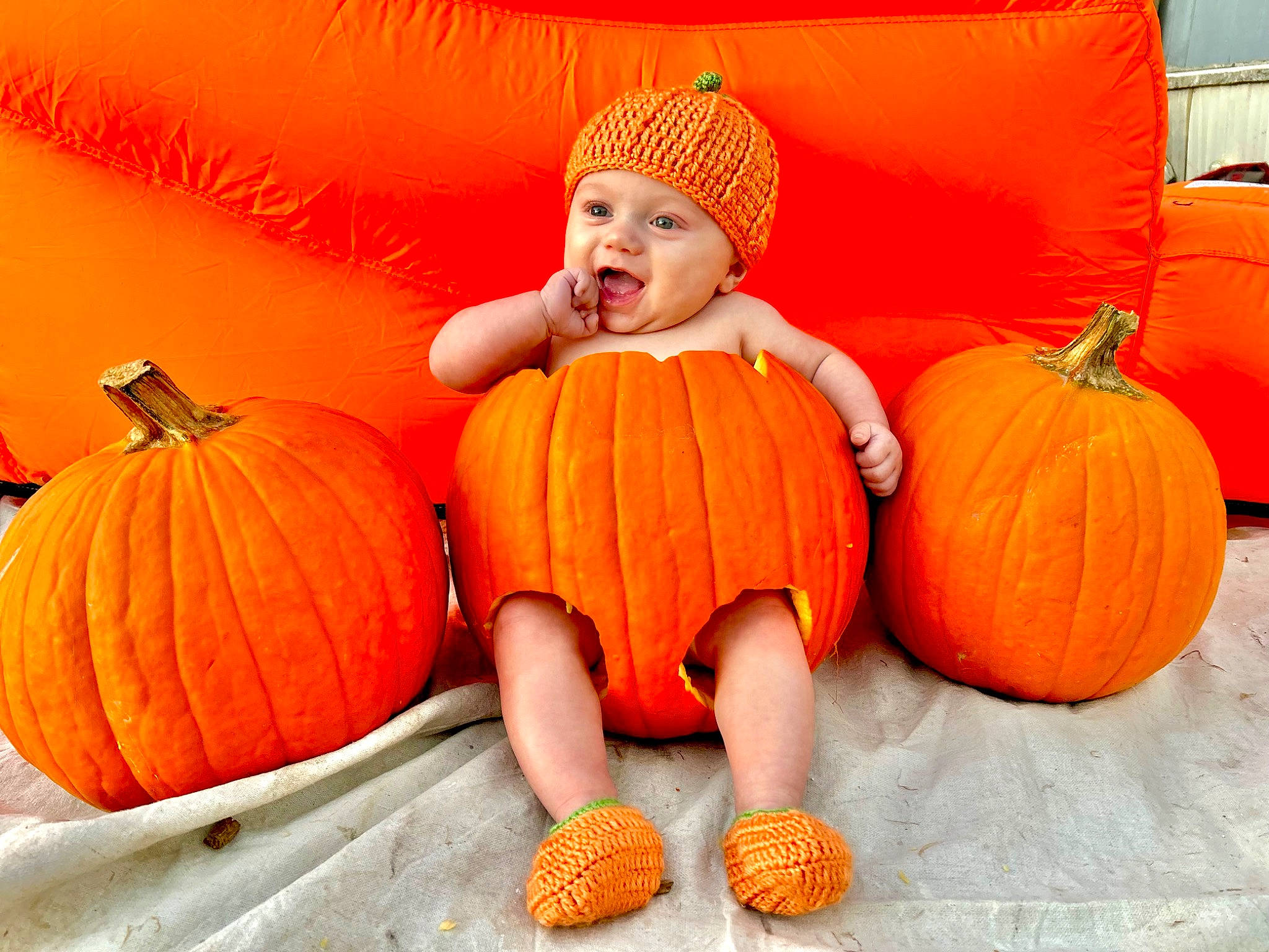 Marcello is registered to the contest to win money with this photo: calabaza, comfort, cucurbita, facial_expression, fruit, gourd, happy, headwear, human_body, leaf, local_food, natural_foods, orange, person, plant, produce, pumpkin, squash, toddler, vegetable