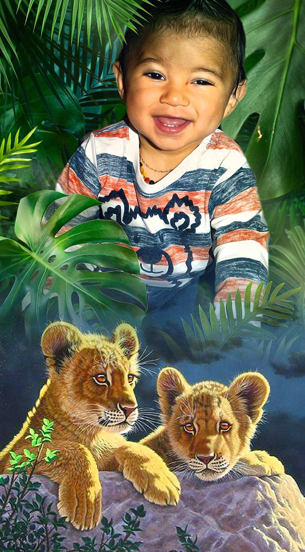 Jorys participe au concours pour gagner de l'argent avec cette photo : adaptation, big_cats, carnivore, eye, facial_expression, fawn, green, happy, head, joy, leaf, mammal, natural_environment, nature, organ, organism, person, photograph, plant, smile