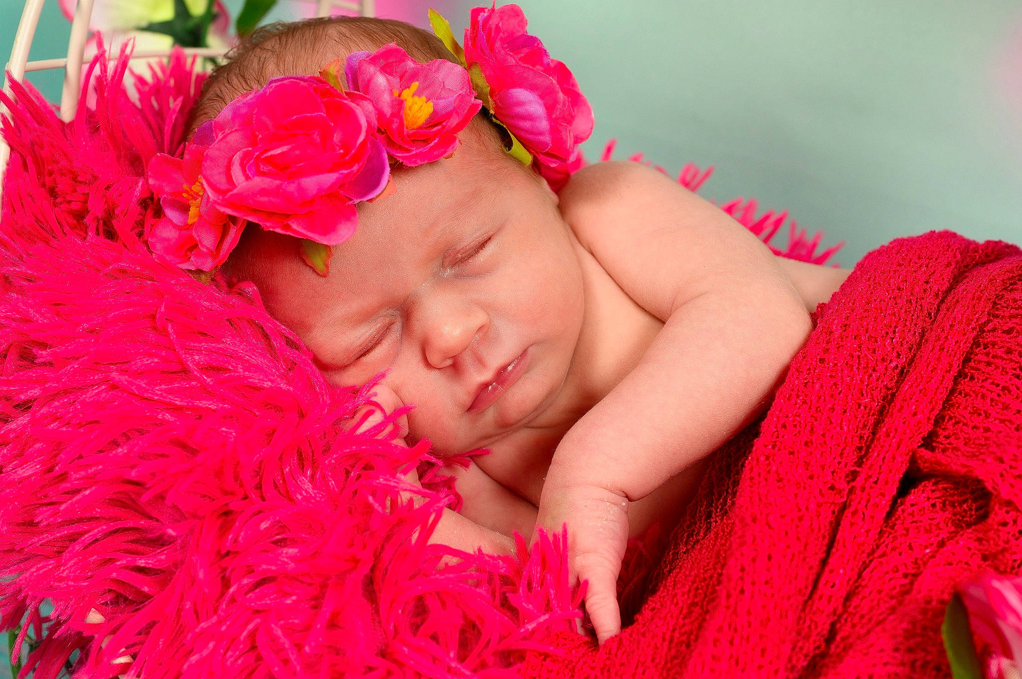 Joelynn a rejoint le concours — aidez-le/la à gagner de superbes lots ! baby, baby_toddler_clothing, child, close_up, comfort, facial_expression, flower, grass, happy, headgear, headwear, human, linens, lip, magenta, people_in_nature, person, petal, pink, skin