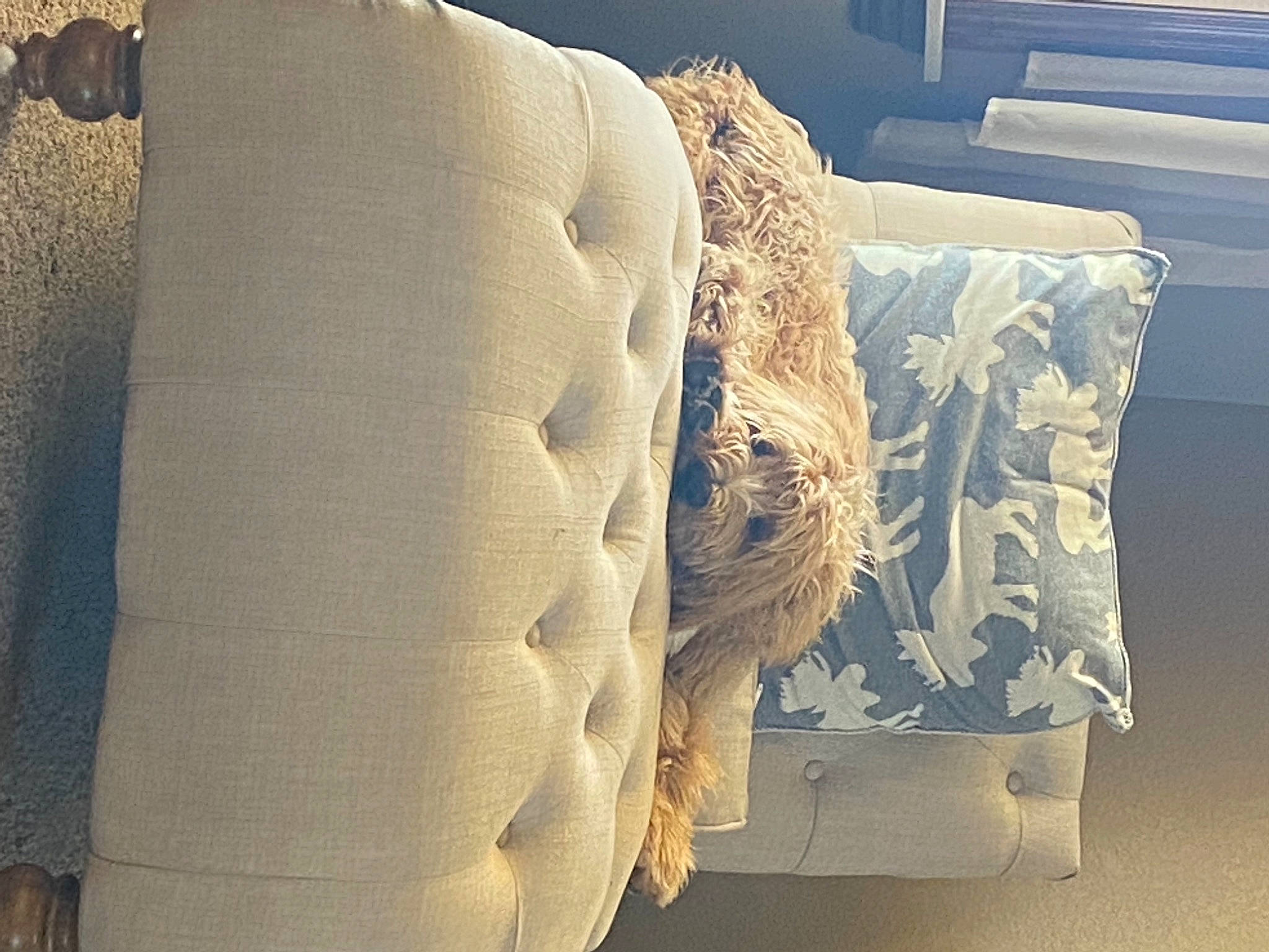 Poppy is registered to the contest to win money with this photo: art, artifact, automotive_design, automotive_tire, bedding, carving, comfort, craft, creative_arts, flooring, font, linens, pattern, rectangle, room, sculpture, tints_and_shades, wall, wood, wool