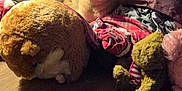 Bygil joined the competition — help win amazing prizes! cat, stuffed_animal, plush_toy, orange_cat, fabric, blanket, wooden_floor, cozy, indoor, soft_toys, curtain, warm_lighting, animal, pet, feline, cushion, home, comfort, relaxing, quiet