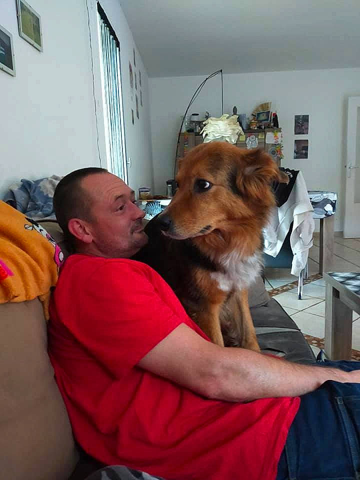 Prune participe au concours pour gagner de l'argent avec cette photo : abdomen, carnivore, chair, child, comfort, companion_dog, dog, dog_breed, ear, event, fawn, fun, fur, happy, lap, picture_frame, room, service, sporting_group, t_shirt