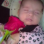 Elaina joined the competition — help win amazing prizes! baby, sleeping, rose, flower, hand, leopard_print, blanket, car_seat, infant, peaceful, face, person, clothing, closeup, cute, soft, resting, newborn, child, portrait