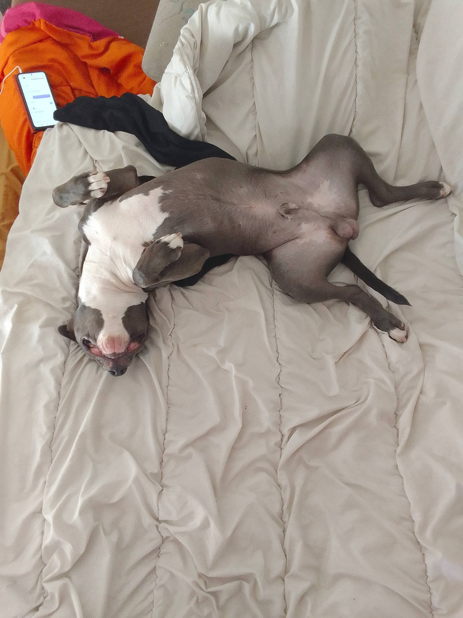 Kimbo participe au concours pour gagner de l'argent avec cette photo : abdomen, bed, bed_sheet, bedding, child, comfort, duvet, elbow, first_aid, health_care, human_leg, knee, linens, medical, medical_procedure, nap, patient, service, thigh, wrist