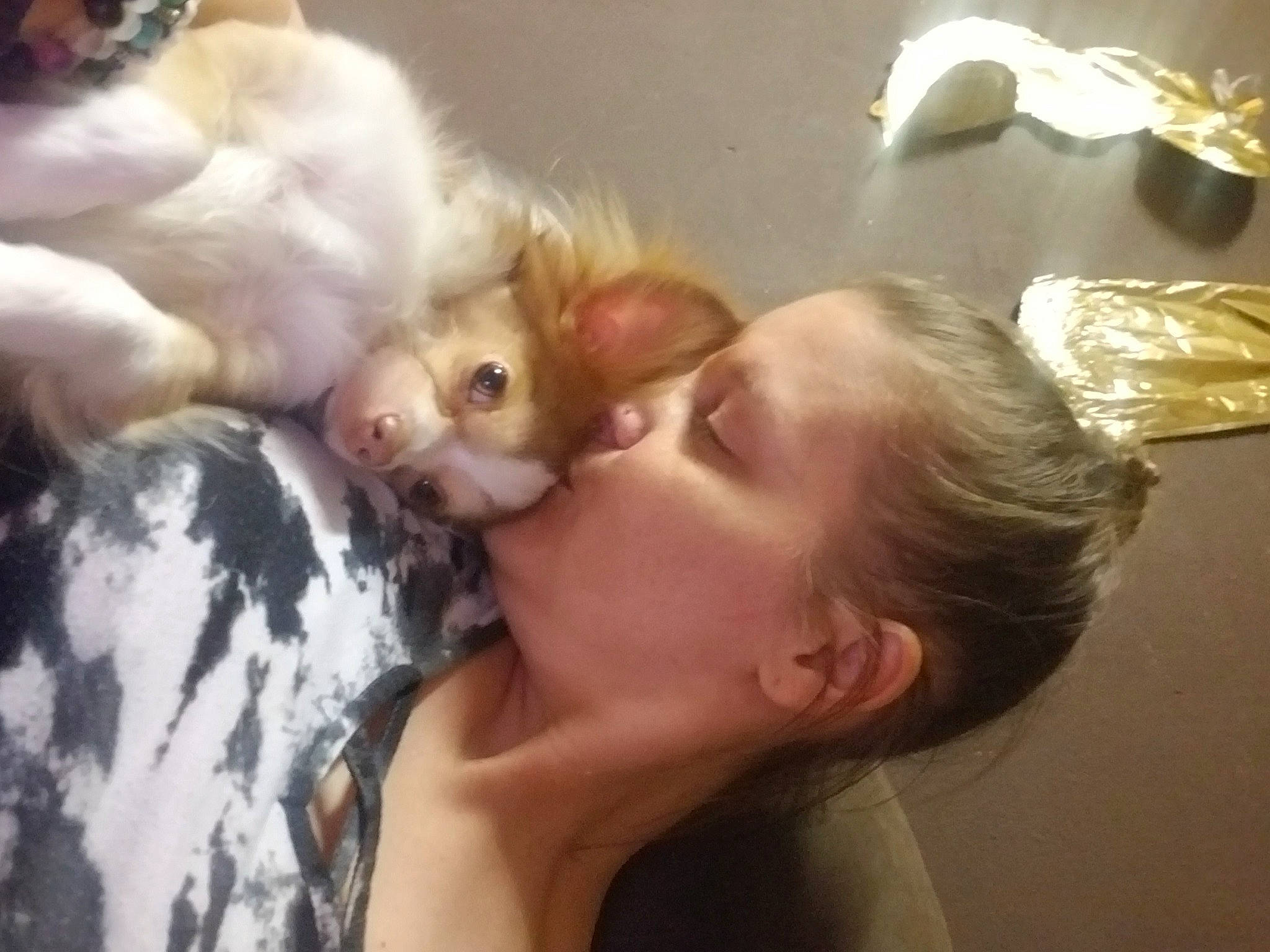 Cooper Sam joined the competition — help win amazing prizes! cat, comfort, companion_dog, ear, eye, eyebrow, eyelash, felidae, fur, gesture, human_body, jaw, kiss, long_hair, nail, neck, nose, small_to_medium_sized_cats, tail, whiskers