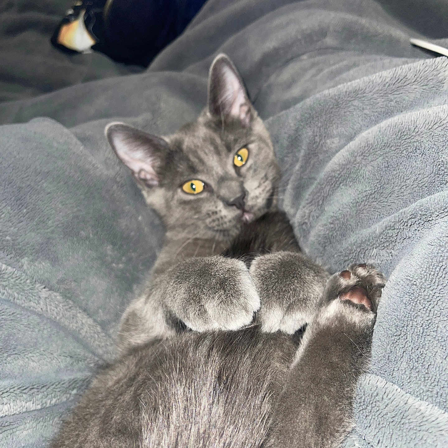 Nimbus