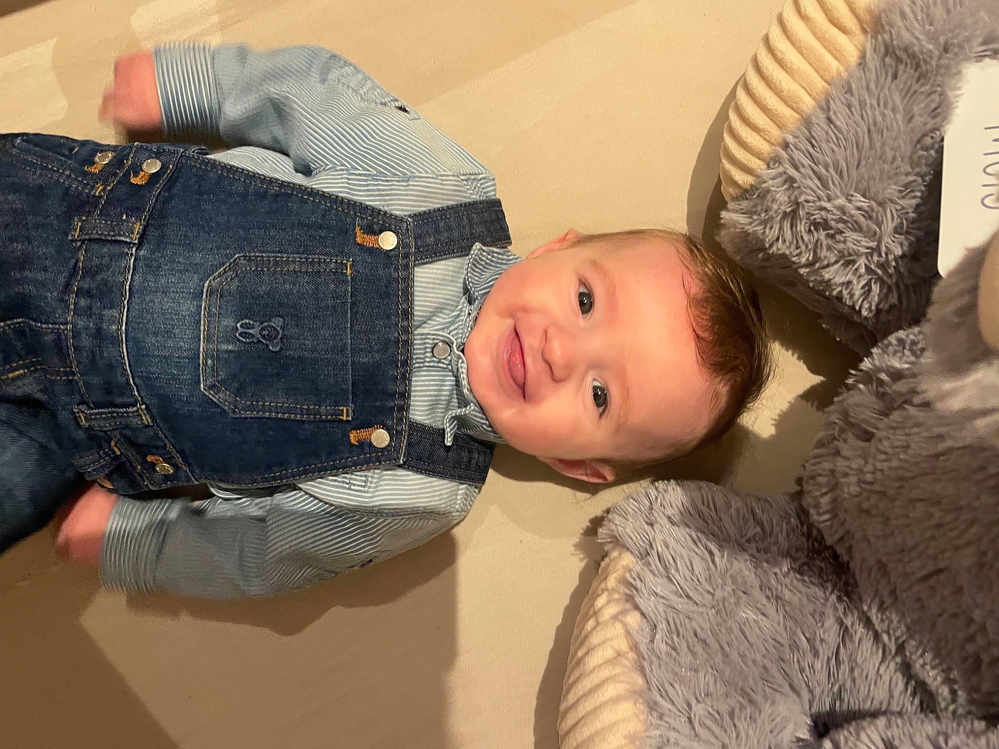 Ayden participe au concours pour gagner de l'argent avec cette photo : abdomen, baby, baby_toddler_clothing, child, comfort, denim, happy, jeans, joy, pattern, person, plaid, sitting, smile, tartan, textile, thigh, toddler, tree, trunk