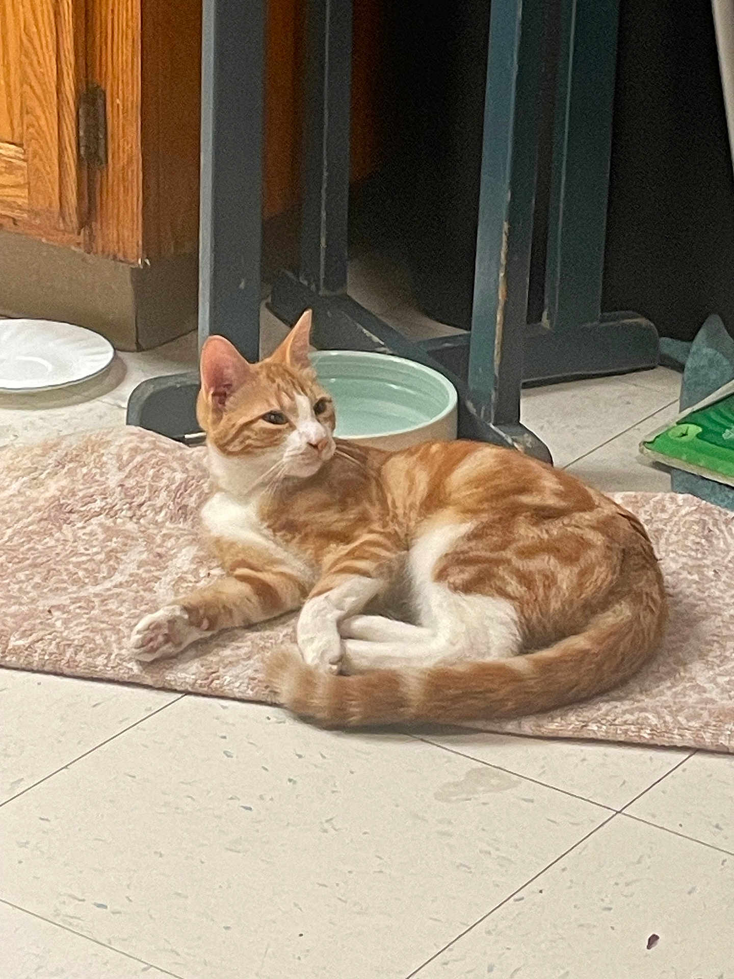 Garfield