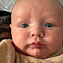 baby, close_up, face, blue_eyes, chubby_cheeks, blanket, infant, skin, nose, mouth, ear, expression, indoors, soft_light, portrait, child, cute, newborn, person, head