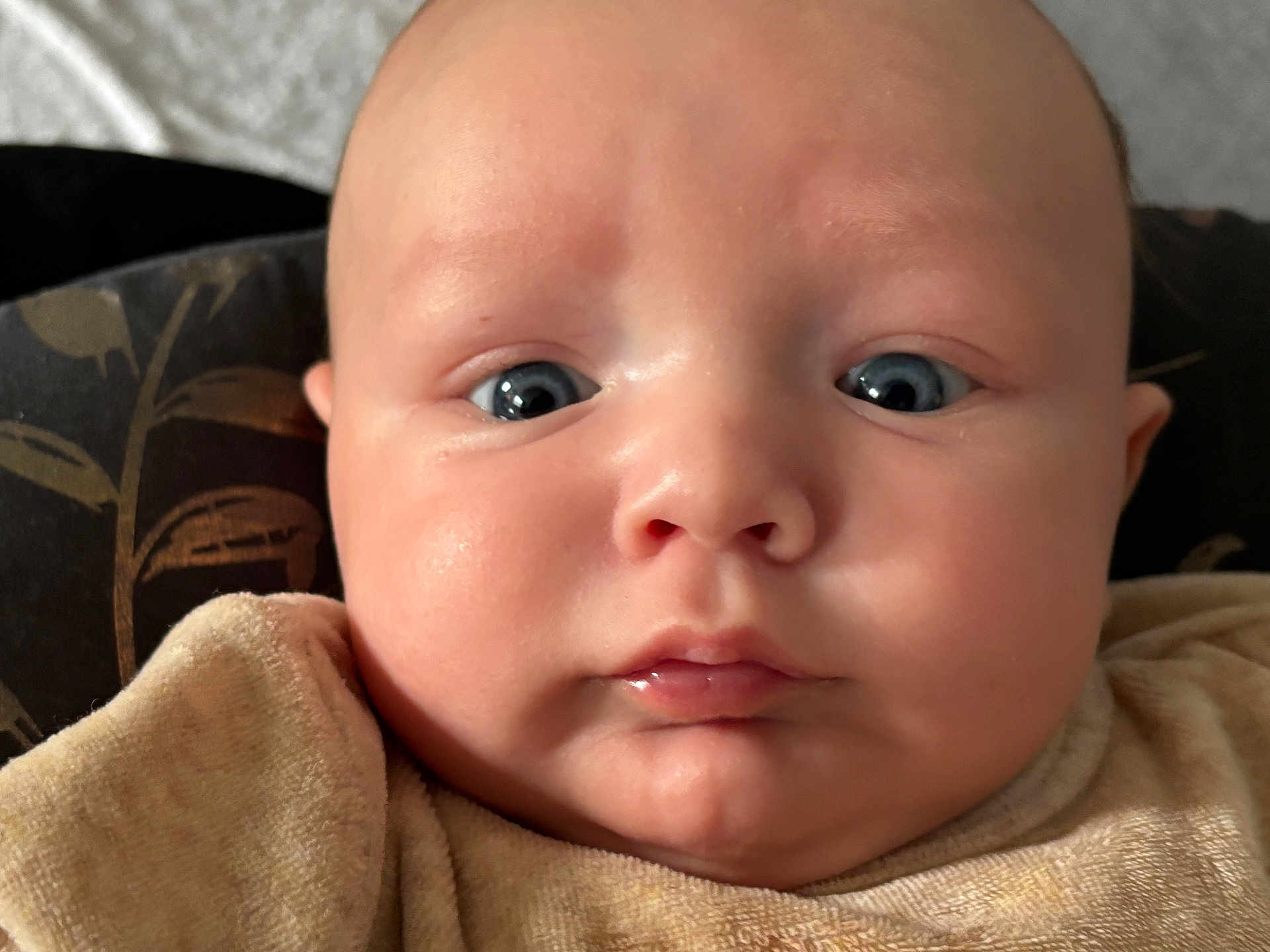 Sohan a rejoint le concours — aidez-le/la à gagner de superbes lots ! baby, close_up, face, blue_eyes, chubby_cheeks, blanket, infant, skin, nose, mouth, ear, expression, indoors, soft_light, portrait, child, cute, newborn, person, head