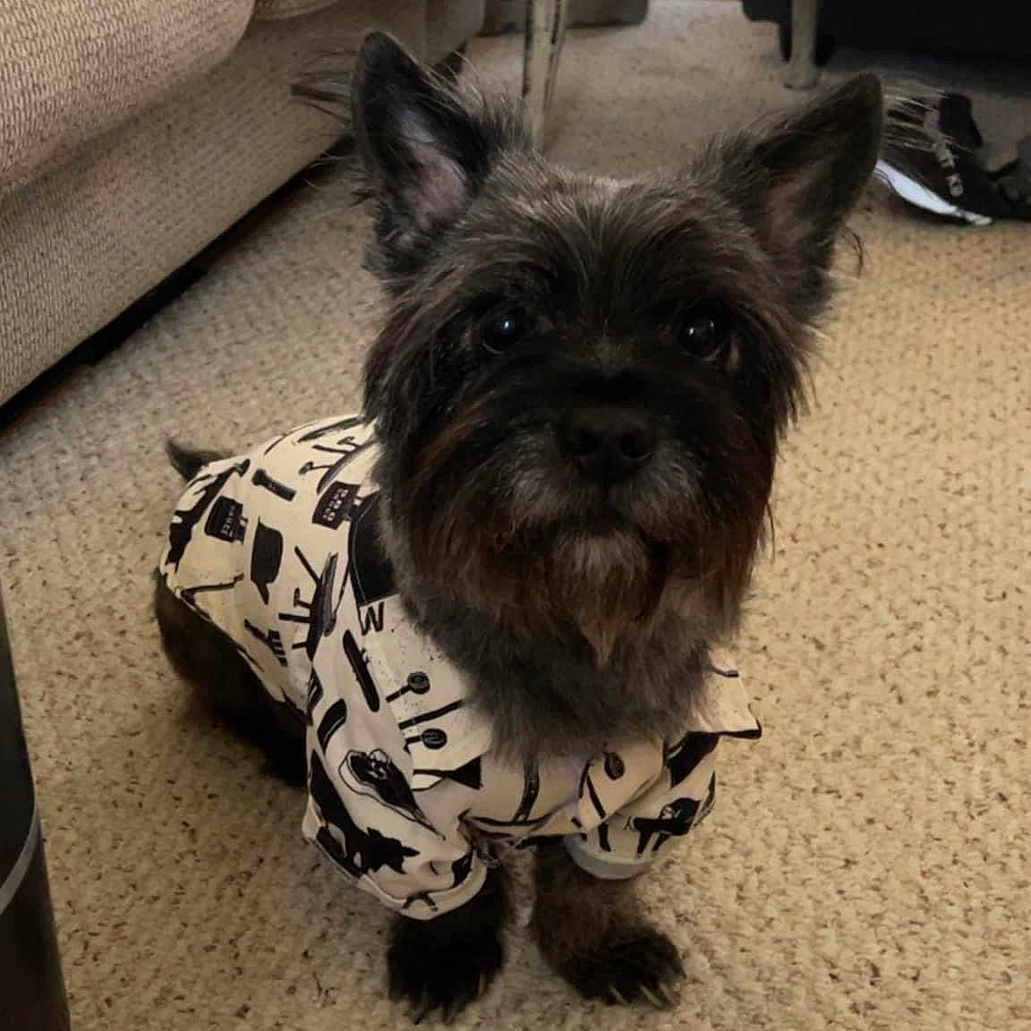 Spike