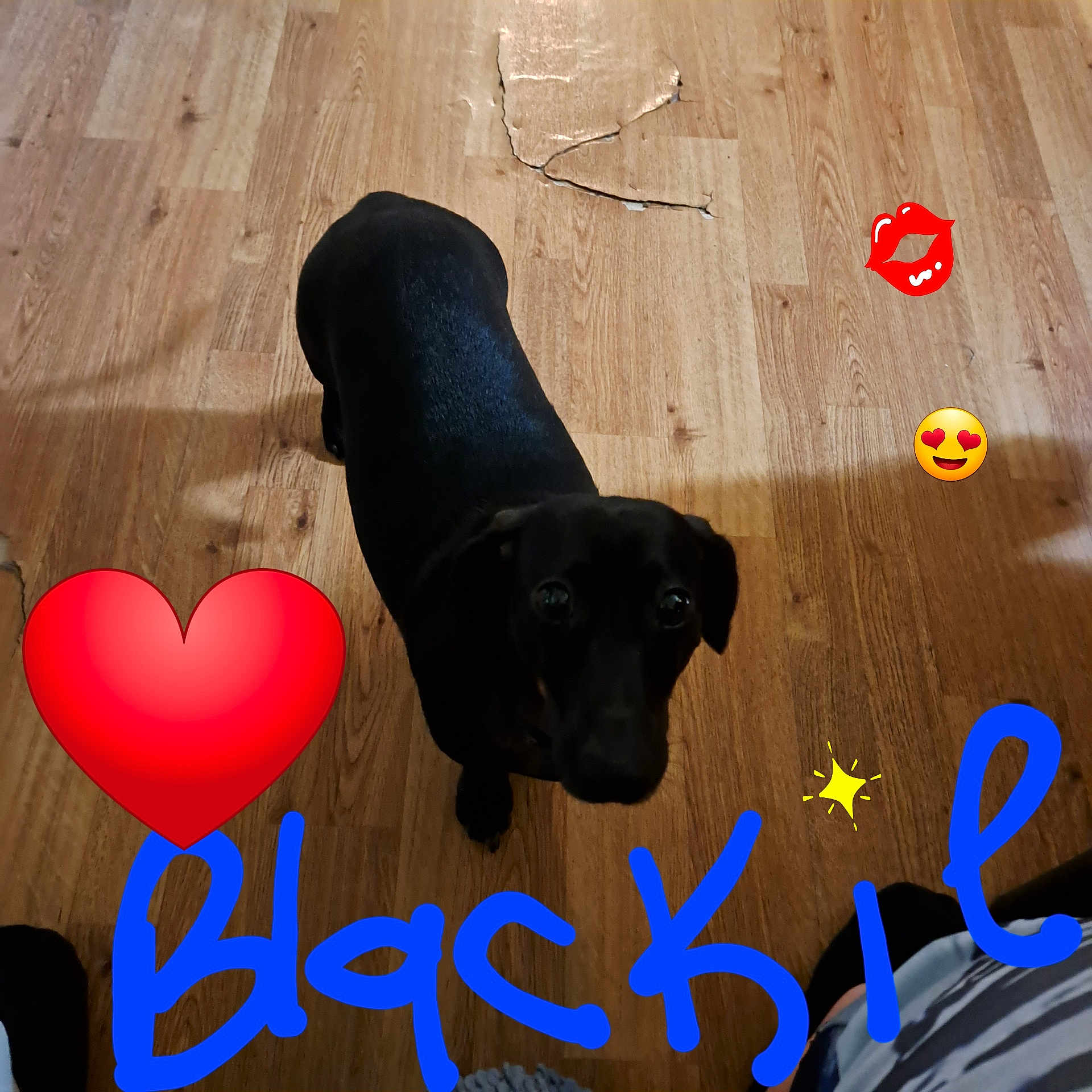 Blackie
