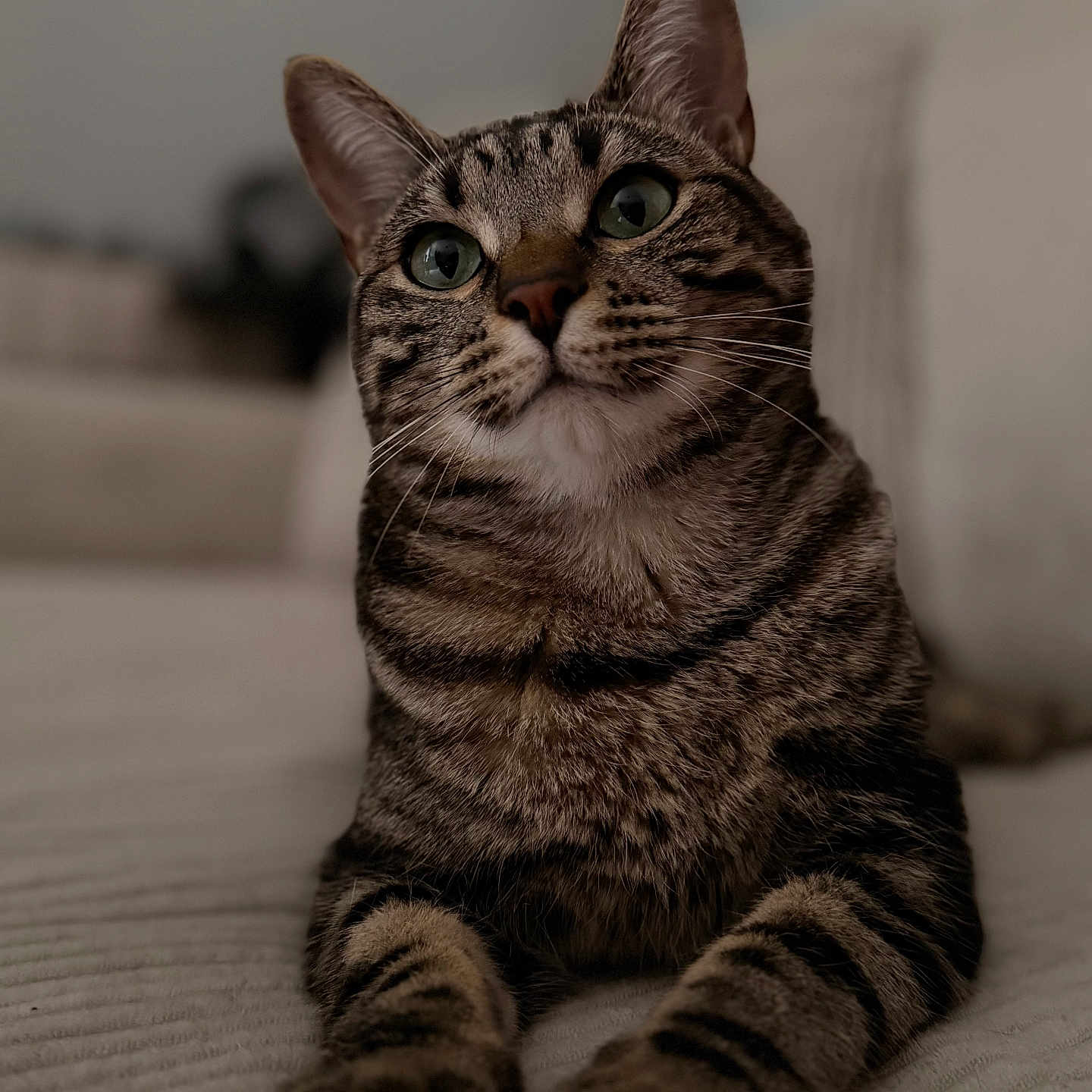 Booba