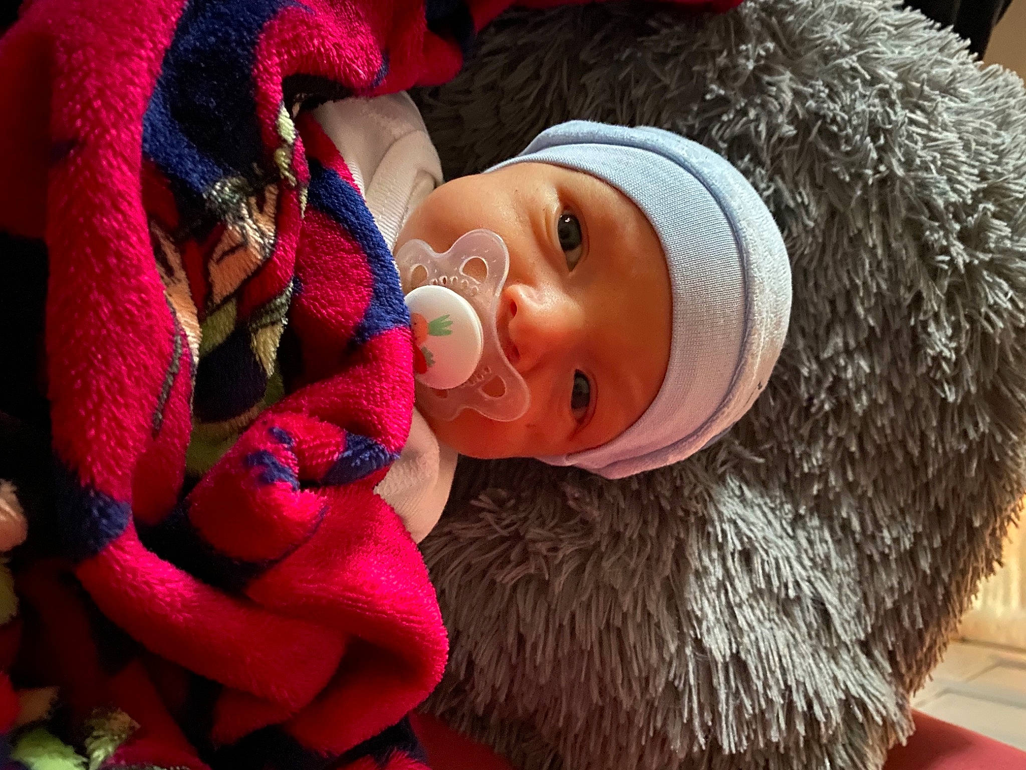 Roméo participe au concours pour gagner de l'argent avec cette photo : baby, cap, doll, event, eye, fur_clothing, happy, hat, head, headwear, human_body, knit_cap, magenta, mammal, person, pink, santa_claus, textile, toy, tree