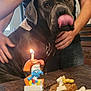 dog, pet, person, hand, candle, birthday, treats, meatballs, cheese, bone_shaped, table, celebration, smurf, indoor, black_shirt, orange_candle_holder, tongue_out, human_hand, close_up, brown_dog