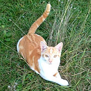 Max participe au concours pour gagner de l'argent avec cette photo :