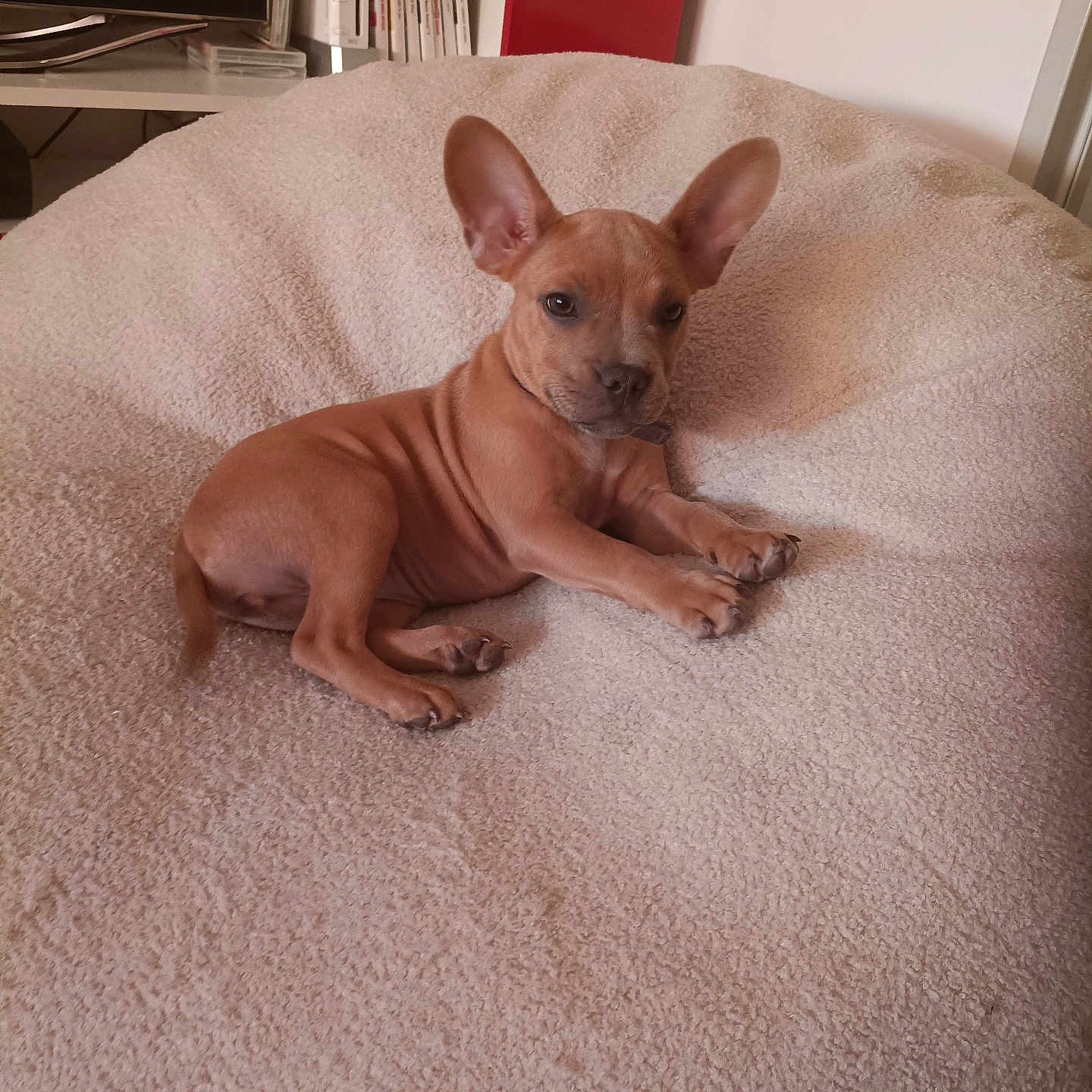 Bijoux