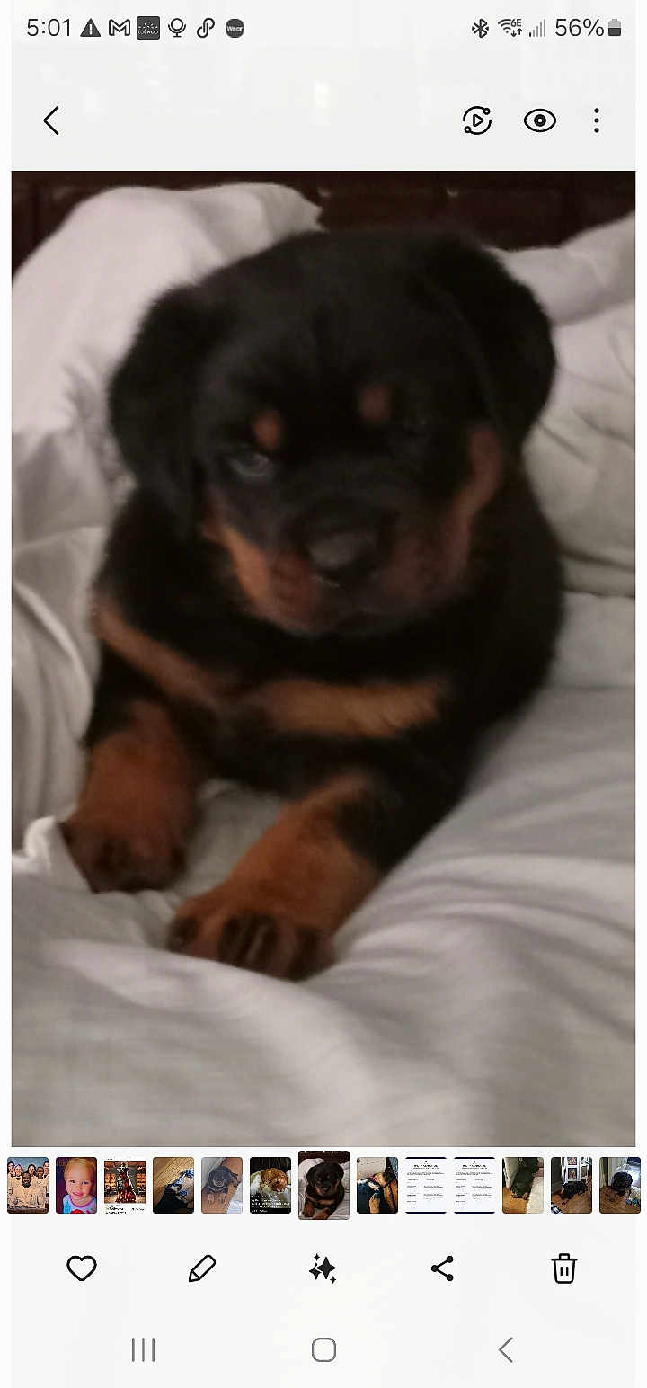 Diesel