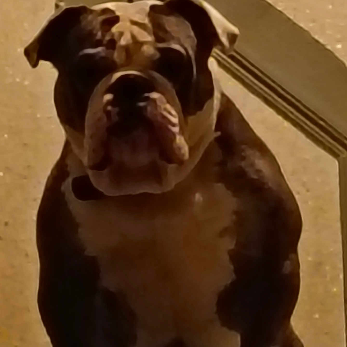 Bobby
