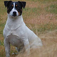 Heliot participe au concours pour gagner de l'argent avec cette photo :