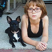 Chihuahua is registered to the contest to win money with this photo: animal, barefoot, black_dog, carpet, casual_clothing, child, curious, dog, floor, glasses, home, indoor, person, pet, plaid_shorts, porch, resting, short_hair, wooden_chair, young