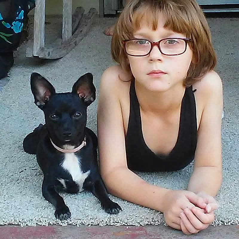 Chihuahua