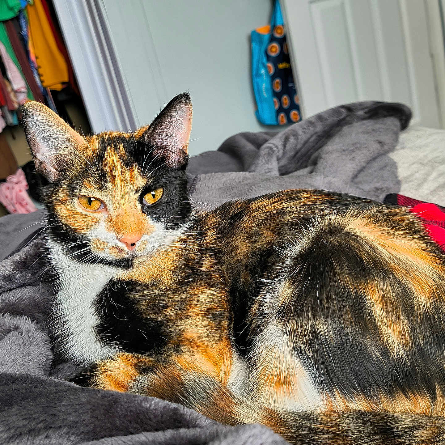 Kitters