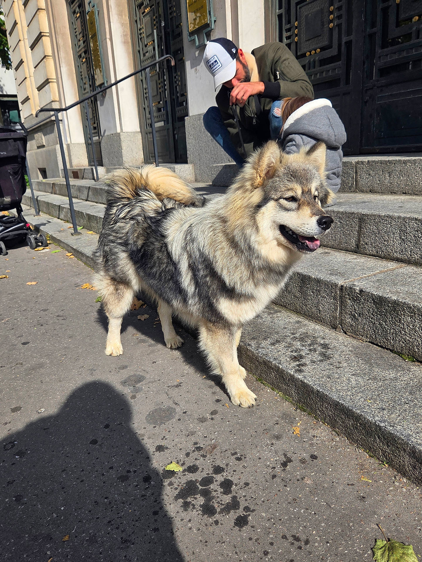 Abby a rejoint le concours — aidez-le/la à gagner de superbes lots ! animal, building, casual, child, clothing, dog, door, fur, happy, man, outdoor, pavement, people, shadow, sidewalk, steps, street, stroller, sunlight, urban
