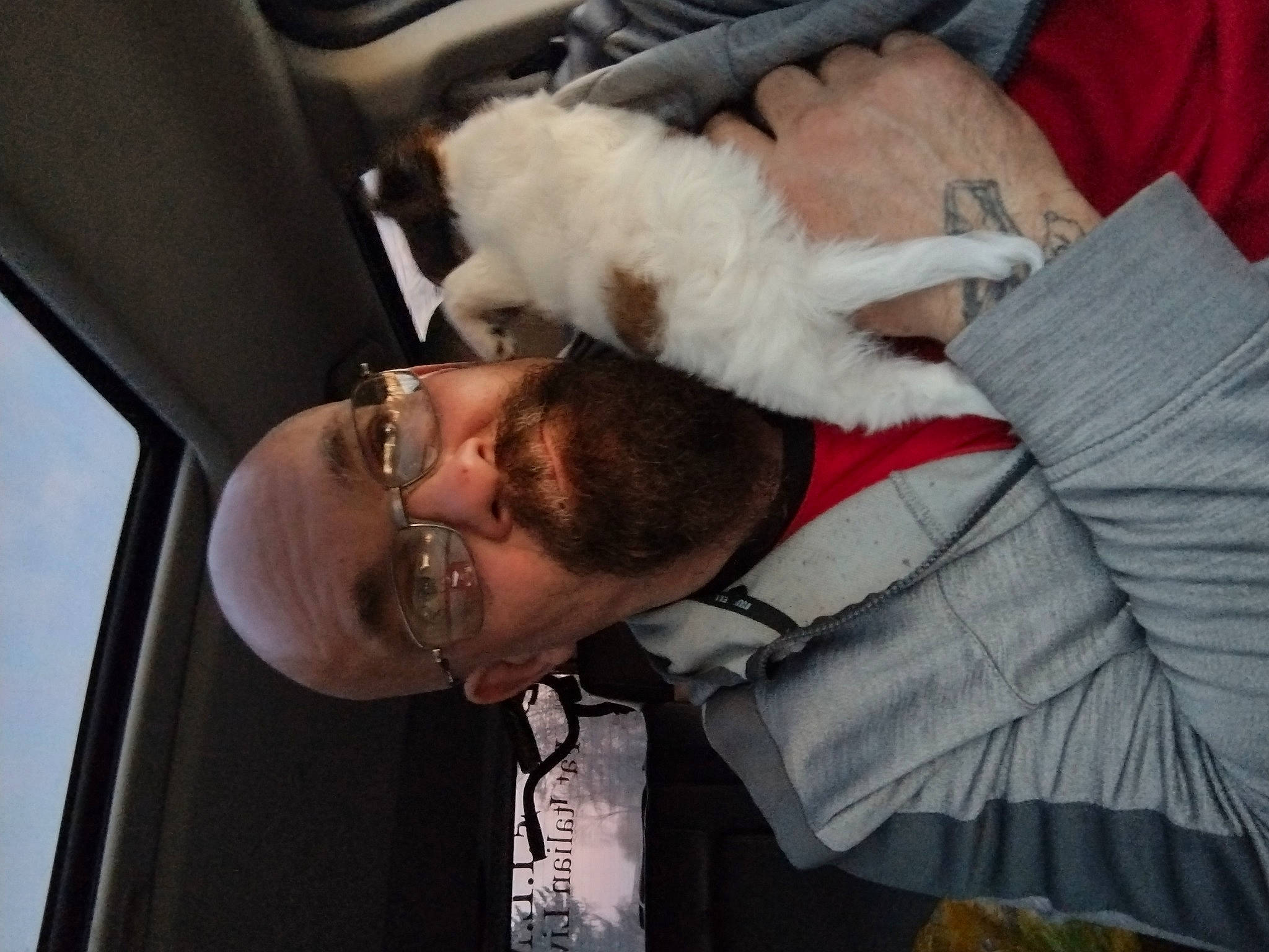 Katie is registered to the contest to win money with this photo: auto_part, automotive_design, automotive_exterior, automotive_window_part, car_seat, comfort, companion_dog, driving, event, eyewear, family_car, fun, fur, gesture, jaw, luxury_vehicle, tie, vehicle_door, white_collar_worker