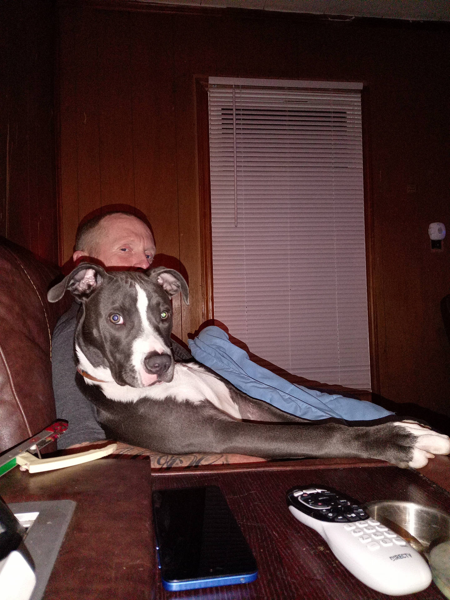 animal, casual, closed_blinds, companion, couch, dog, domestic, furniture, indoor, living_room, man, person, pet, relaxed, remote_control, seated, smartphone, table, window, wood_paneling