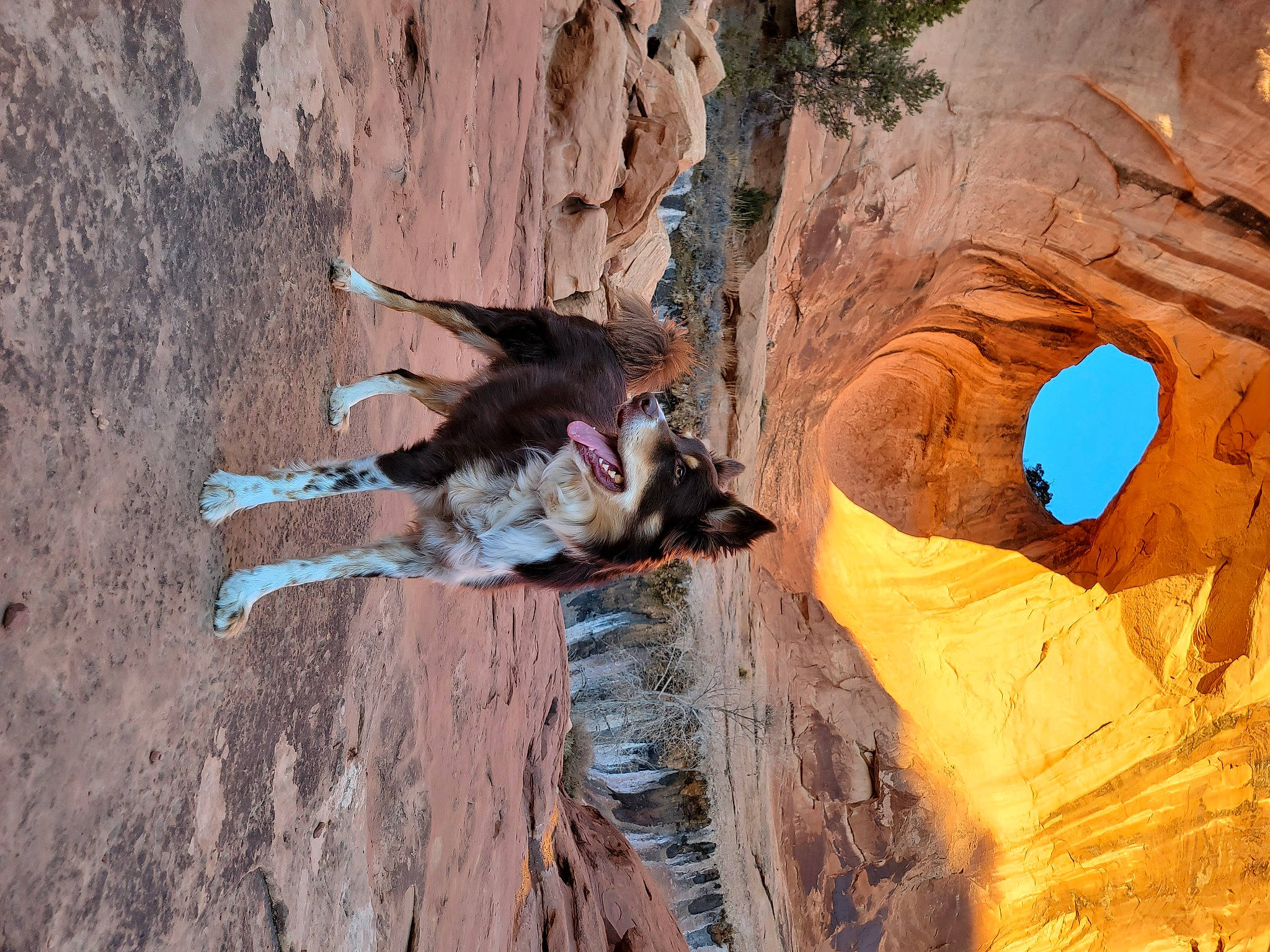 Sedona joined the competition — help win amazing prizes! arch, azure, badlands, bedrock, dog, erosion, fault, formation, fun, geological_phenomenon, landscape, natural_arch, outcrop, plant, recreation, rock, soil, sport_climbing, tree, wood