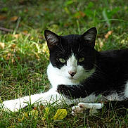 Girly participe au concours pour gagner de l'argent avec cette photo :