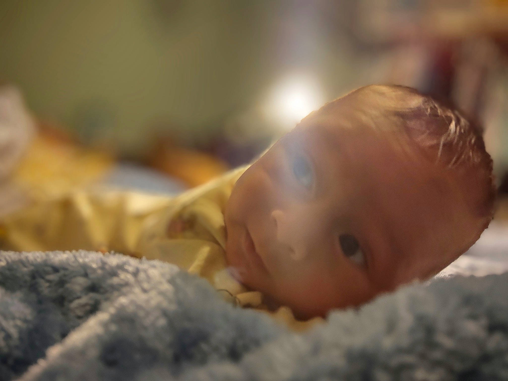 Zander is registered to the contest to win money with this photo: baby, cloud, comfort, eye, eyebrow, eyelash, face, fawn, fur, grass, hand, happy, head, iris, nose, person, sky, snout, toddler, window