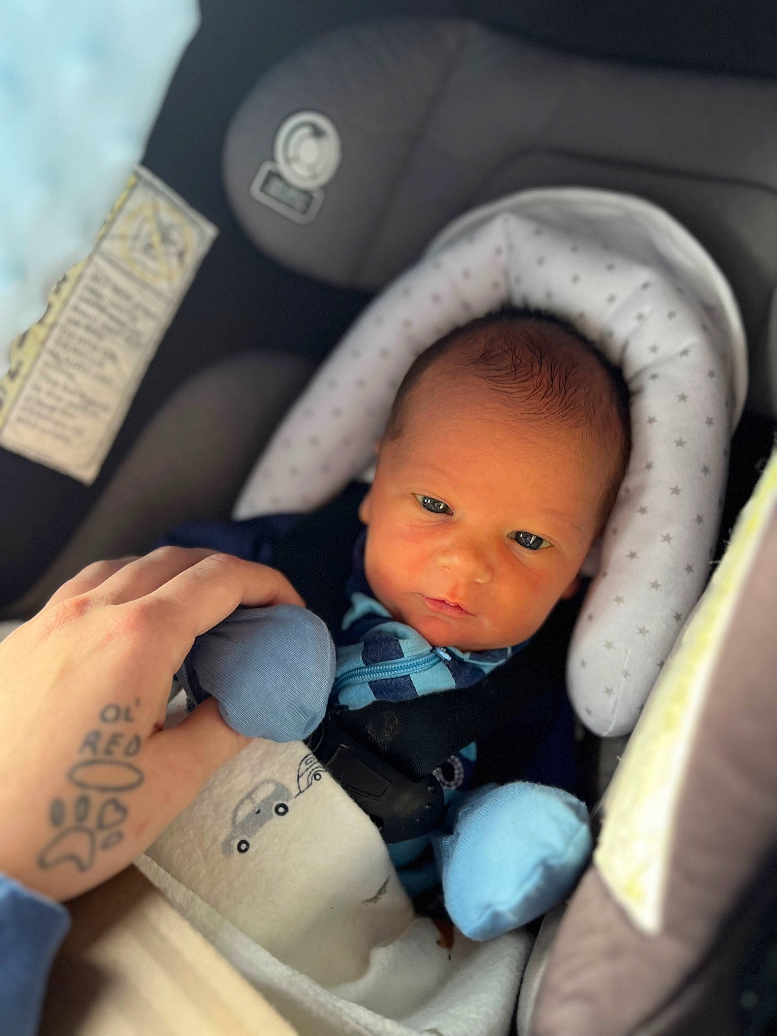 Jackson is registered to the contest to win money with this photo: auto_part, baby, baby_carriage, baby_in_car_seat, baby_products, baby_toddler_clothing, car_seat, car_seat_cover, cheek, child, comfort, finger, gesture, nail, person, seat_belt, sitting, skin, temporary_tattoo, thumb