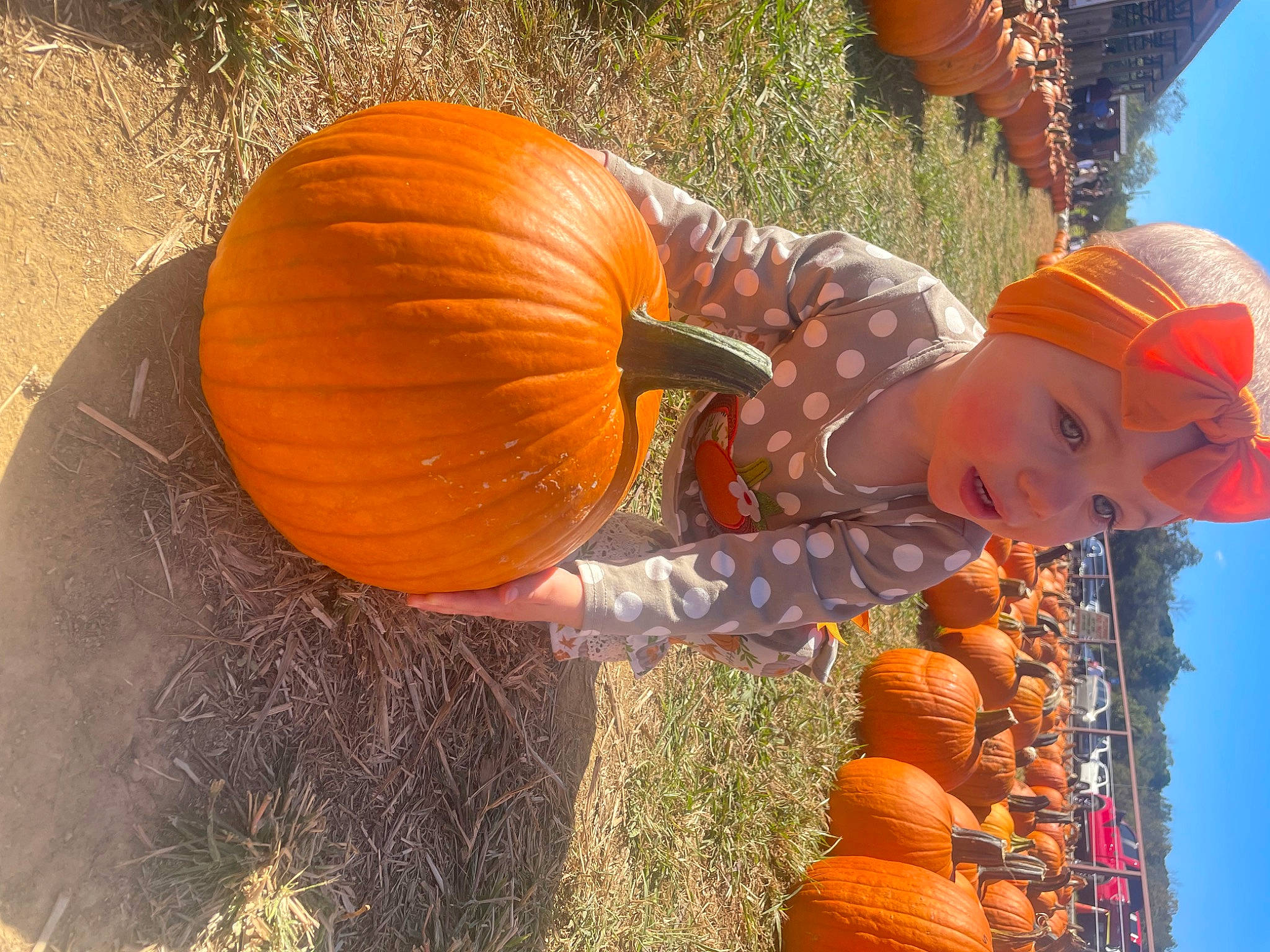 Annaka is registered to the contest to win money with this photo: agriculture, calabaza, cucurbita, fruit, gourd, grass, headwear, local_food, natural_foods, orange, person, plant, produce, pumpkin, sky, squash, tints_and_shades, tradition, vegetable, whole_food
