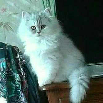 Milaine